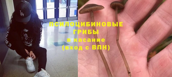 шишки Алексин