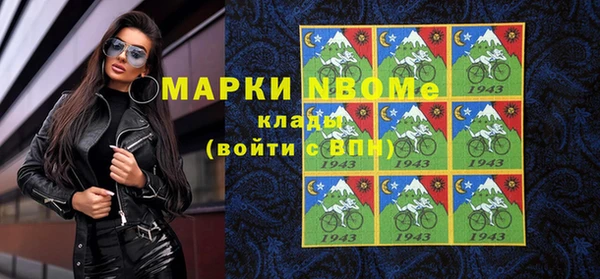 шишки Алексин