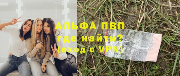 дмт Алзамай