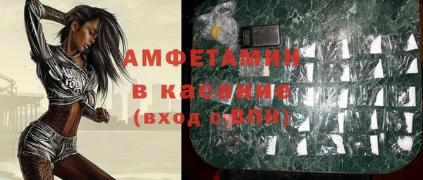 шишки Алексин