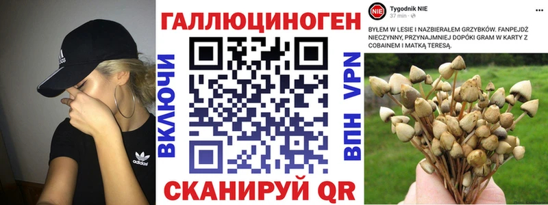 Галлюциногенные грибы ЛСД  кракен как войти  Заполярный 